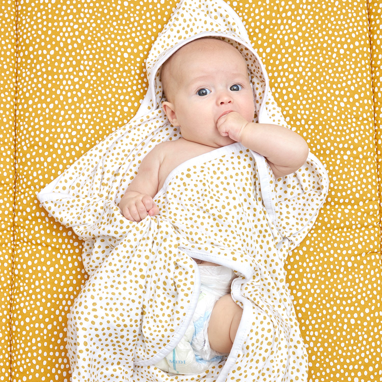 Badcape jersey - Cheetah Honey Gold