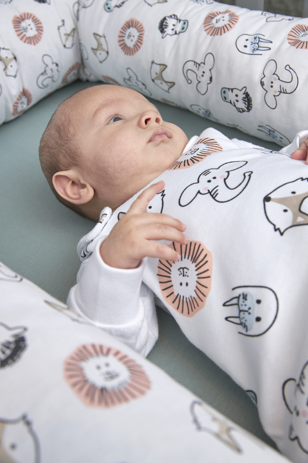 Nestchenschlange Animal - multicolour